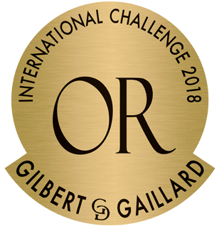 Gilbert Gaillard - International Challenge 2018